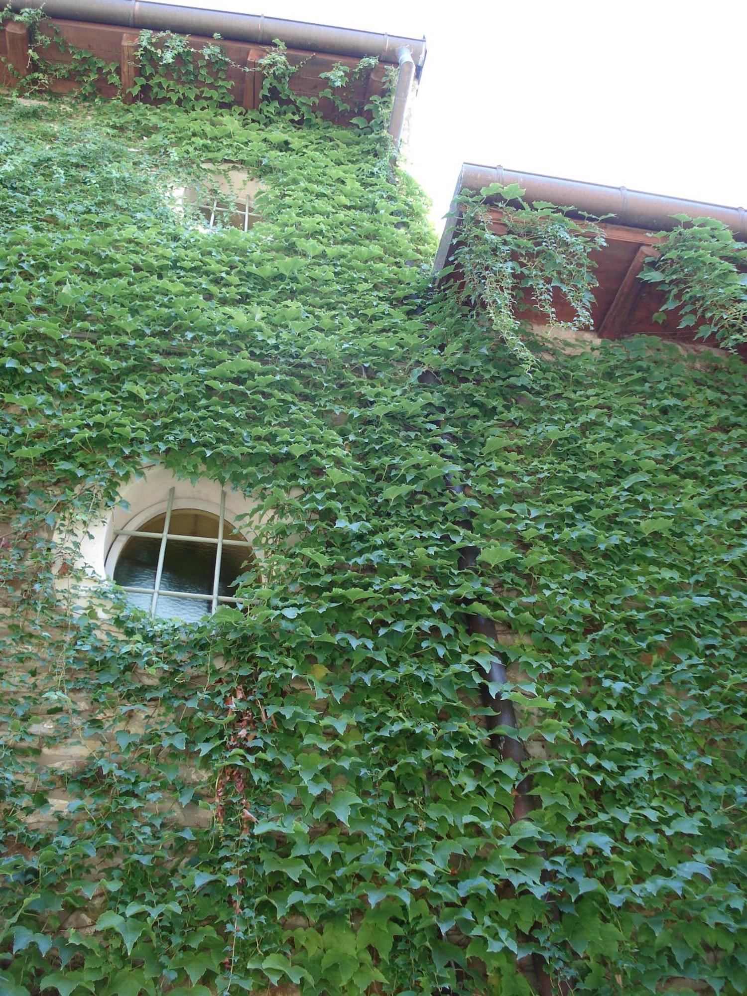 Locanda Amerigo Savigno Exteriér fotografie